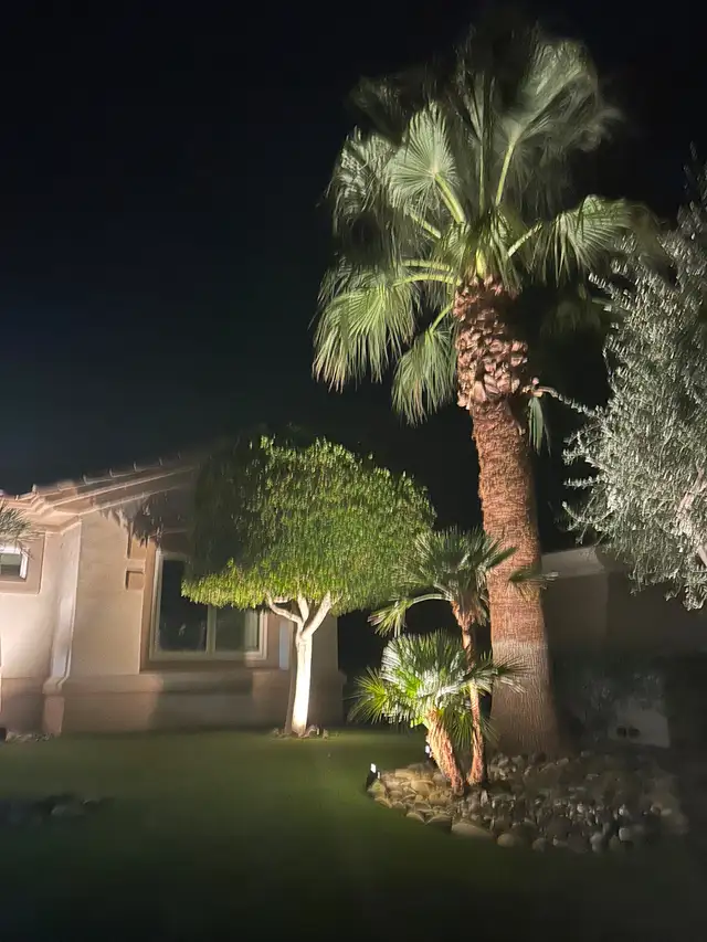 Palm Dessert House for Rent in California in Canada - Image 3