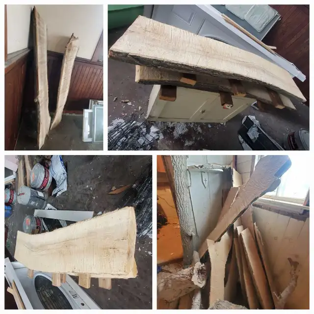 Raw Wood Slabs, Cookies, & Craft Pieces! in Other in Regina - Image 7