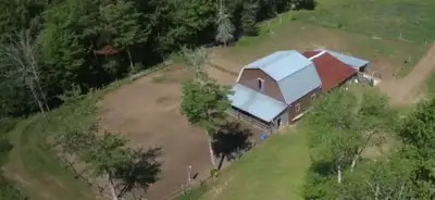 Horse Board Available for 1 Horse, View more