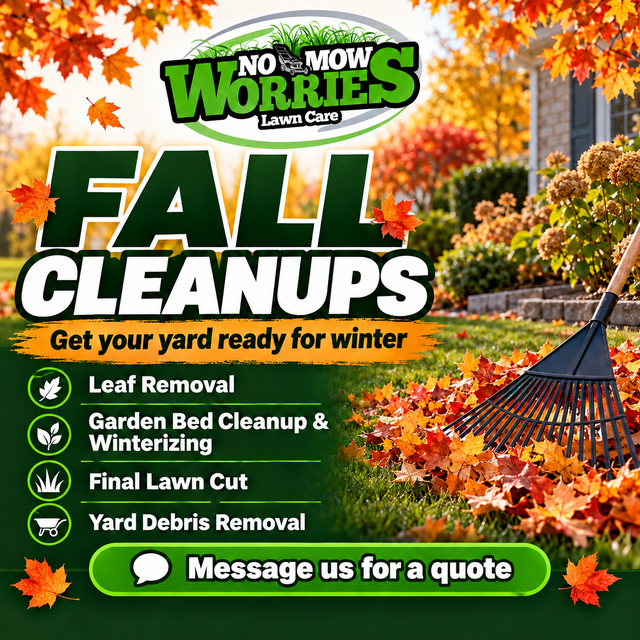 Fall cleanup services