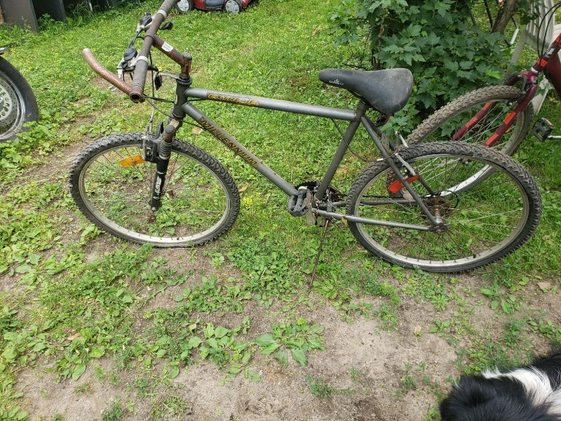 Assorted wheelbarrows Outdoor Tools & Storage Muskoka Kijiji