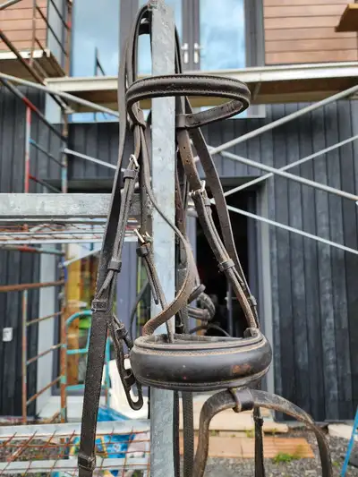 Laser horse sized dressage bridles with flash attachment and leather reins with stops. Very adjustab...