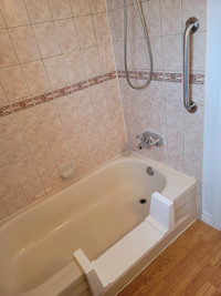 Walk in tub from $299