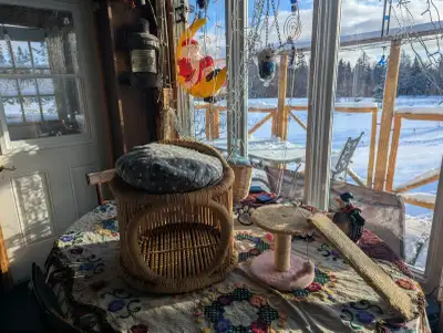 Wicker Double Decker Cat Bed, toy, scratch pad, View more
