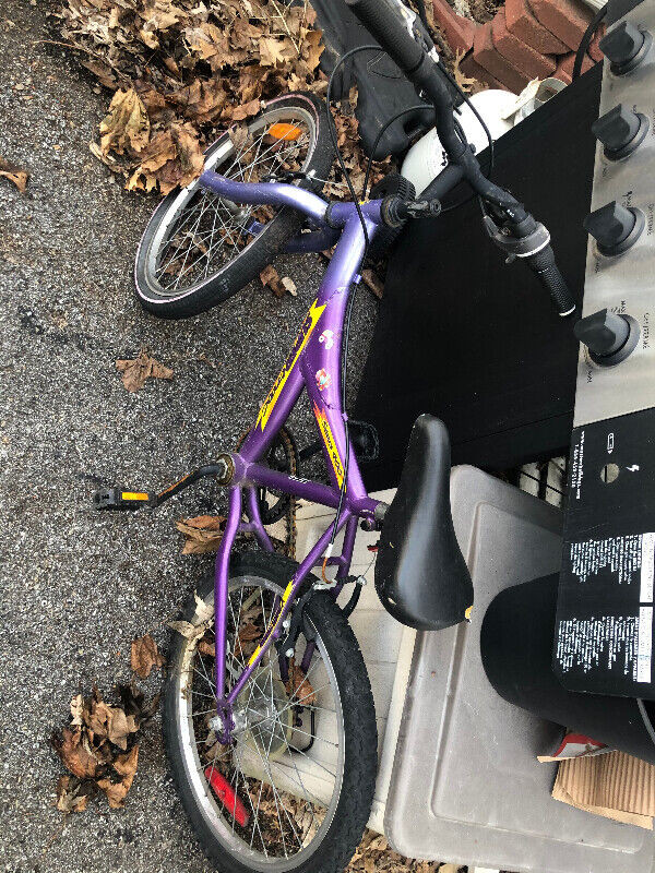 FS: Adult ladies Raleigh mountain bike, Kids bike 20 inch wheel in Road in Ottawa - Image 3