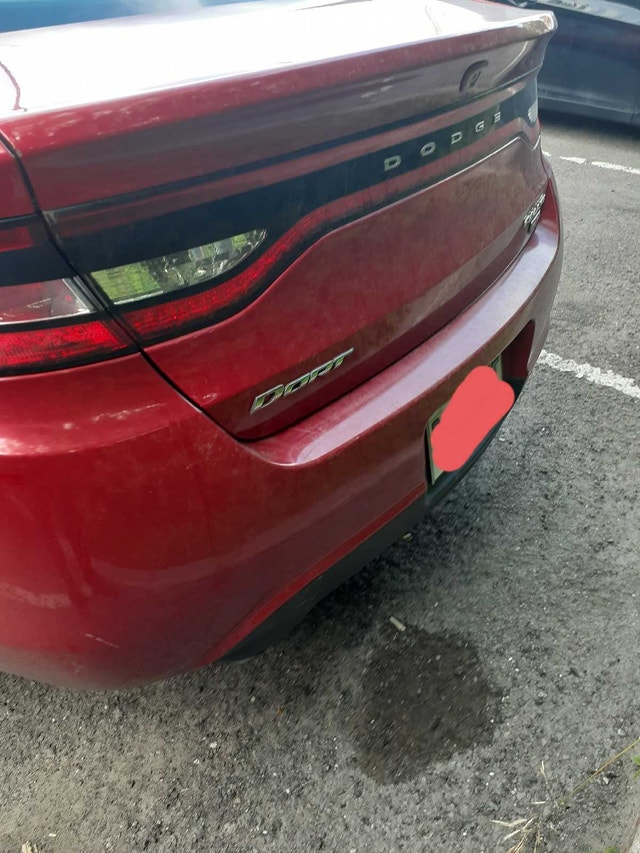 Dodge dart rally — photo 2