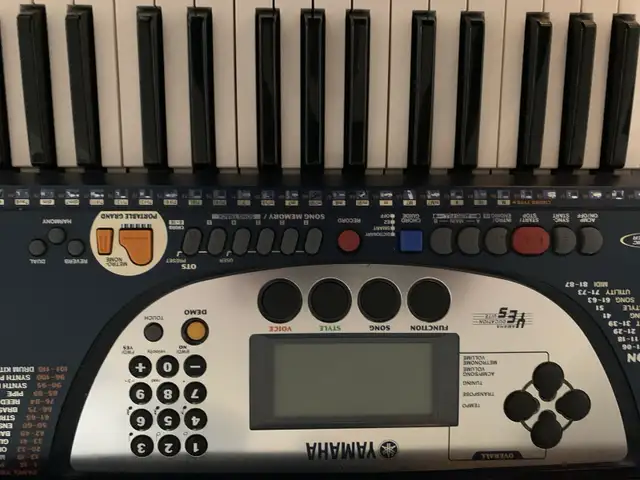 Electric keyboard 450666127310858241