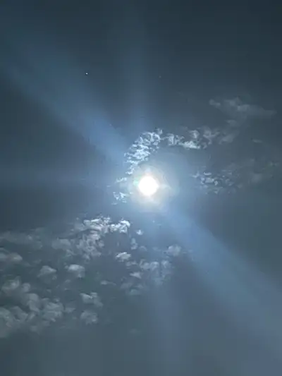 Friendship / companionship, View more