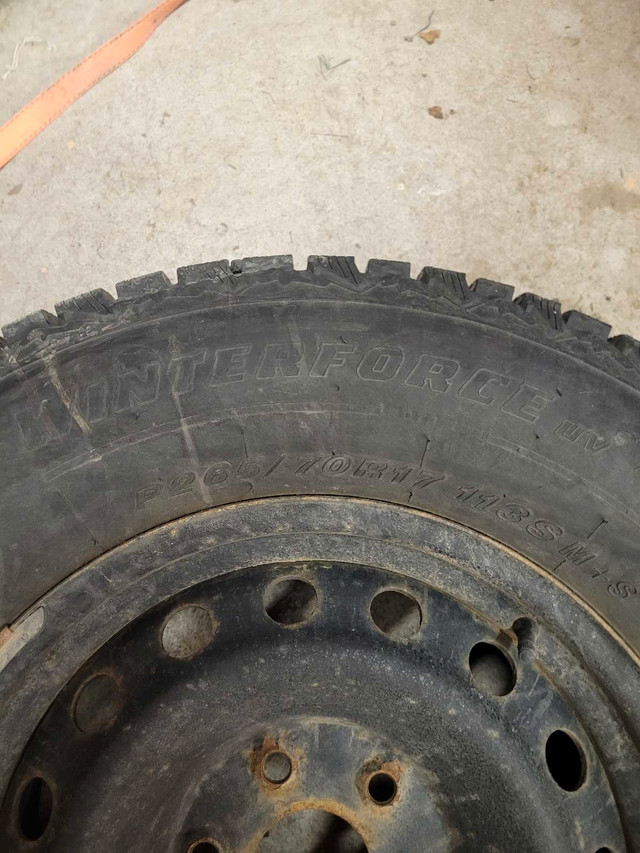 winter tires on steel wheels in Tires & Rims in Sault Ste. Marie