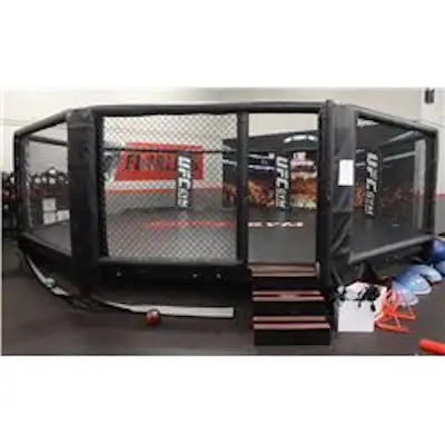 UFC Octagon