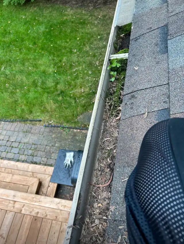$100 starting Gutter Cleaning & Roof Repairs62863227479298124