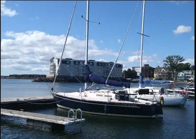 Good boat & trailer has been kept up. No issues with engine or drive system. Boat is not perfect; I...
