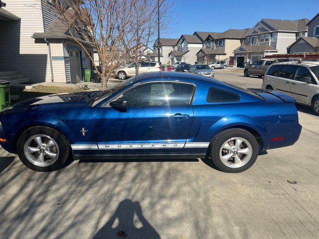 Ford Mustang V6 in Cars & Trucks in Edmonton - Image 2