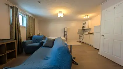 Cozy Basement Furnished Studio Close to DT in Highland Park NW