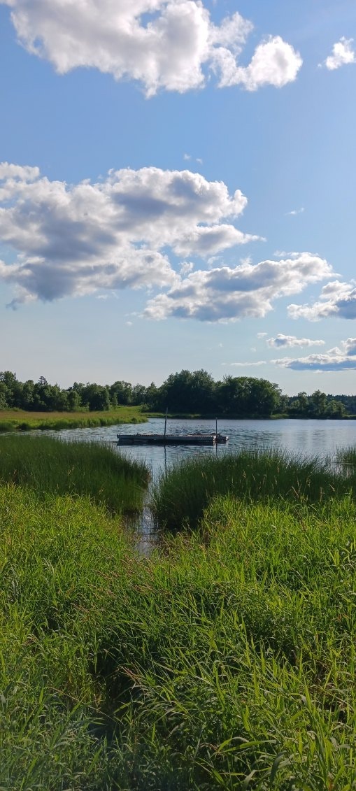 Camp on 5 acres on Kennebecasis Island Land for Sale Saint John