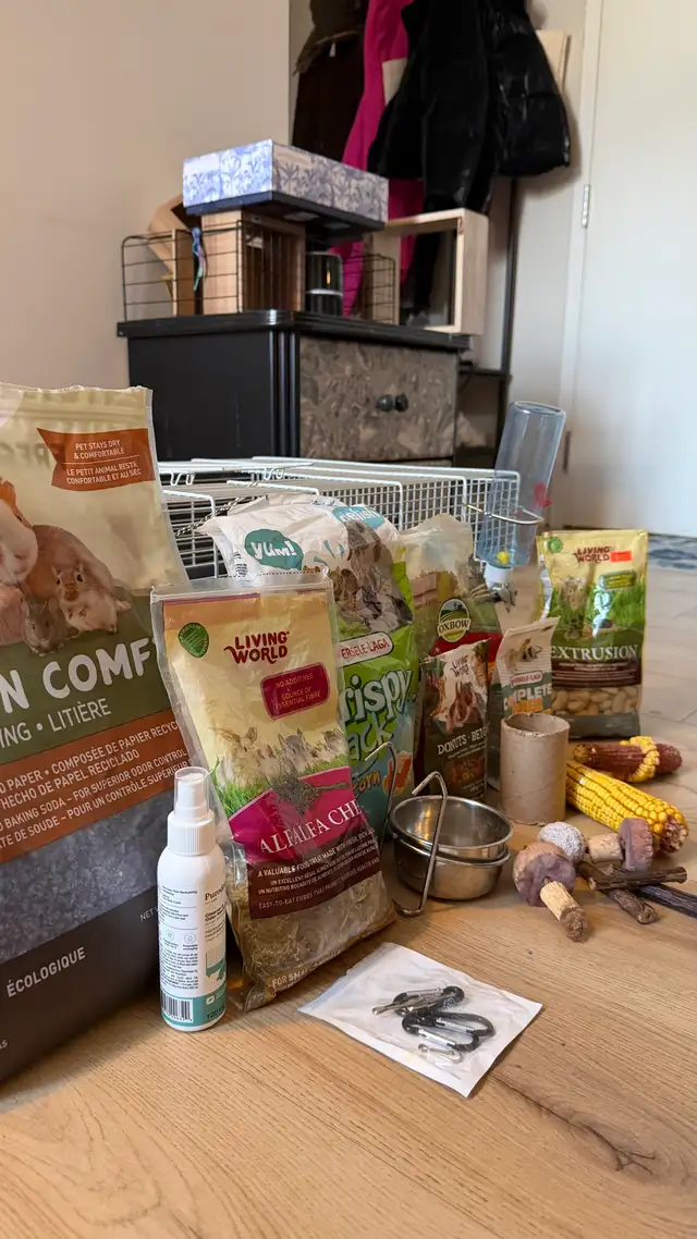 Ensemble cage à rongeurs (équipement complet) in Accessories in St-Georges-de-Beauce - Image 8