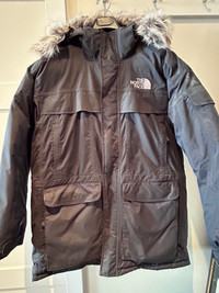 The north face winter parka