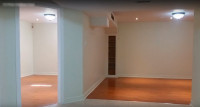 Professionally Finished, 1 BR Spacious Basement Apt, Utils Incl.