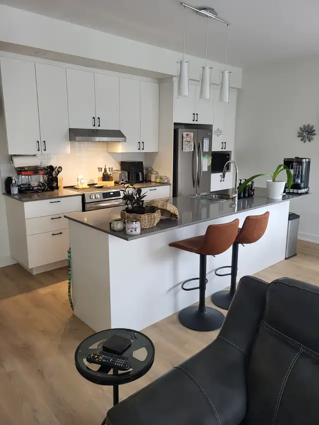 Appartement à louer - 1er aout ou 1er septembre in Room Rentals & Roommates in Gatineau - Image 11
