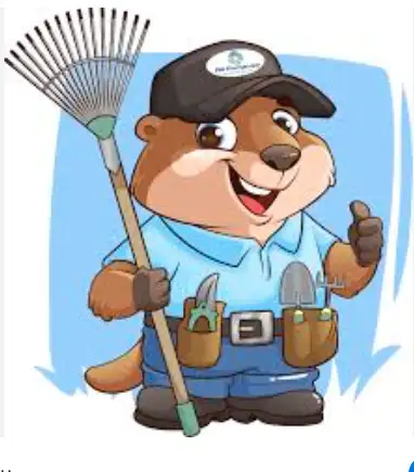 **LANDSCAPING/HANDY MAN/ODD JOB SERVICES**63848994098817120