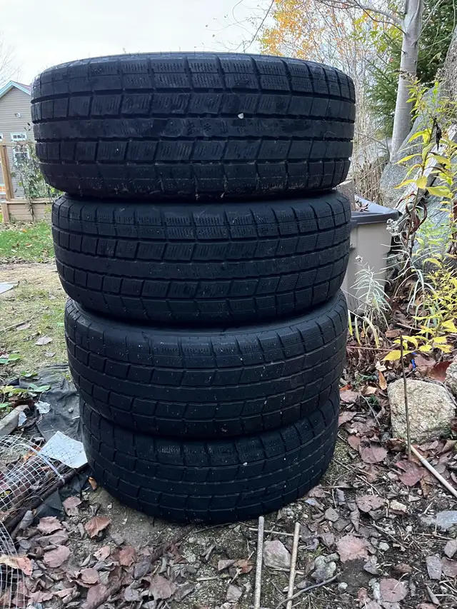 215/55R17 Winter tires on OEM Honda steelies in Tires & Rims in Bedford - Image 3