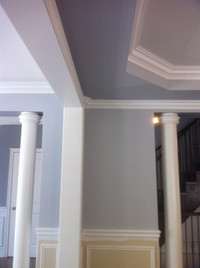 REALIABLE PROFESSIONAL PAINTER AVAILABLE- GUARANTEED QUALITY