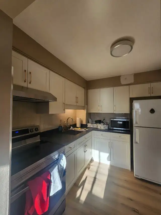 Room for rent - available immediately in Room Rentals & Roommates in Kitchener / Waterloo - Image 5