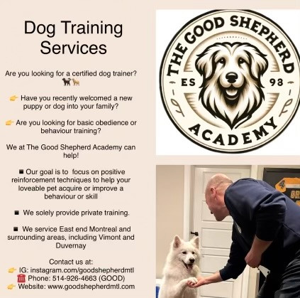 Dog Training Services dans Services pour animaux  à Ville de Montréal - Image 3