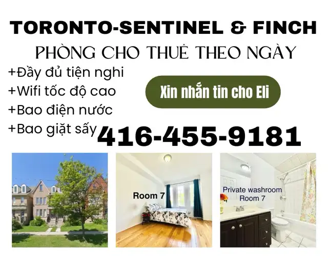 Toronto daily rent rooms