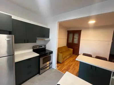 Appartement de 2 chambres et 1 salle de bain 4059 Avenue Papineau, Montréal, QC H2K 4K2, Canada Repr...