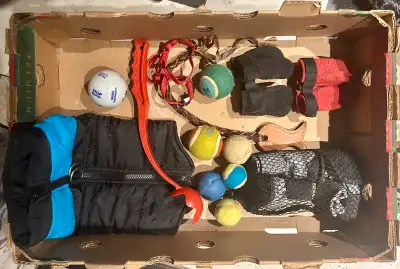 Dog harness, jacket and various toys. Includes a ball launcher, multiple balls, and dog booties. Mov...