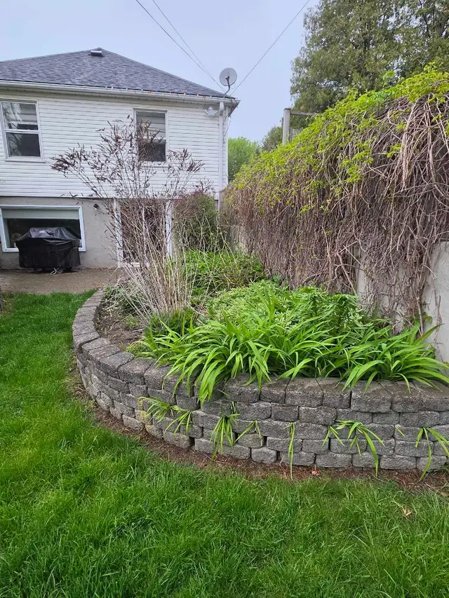 Wanted - Garden Landscape Design Help459814417833011200