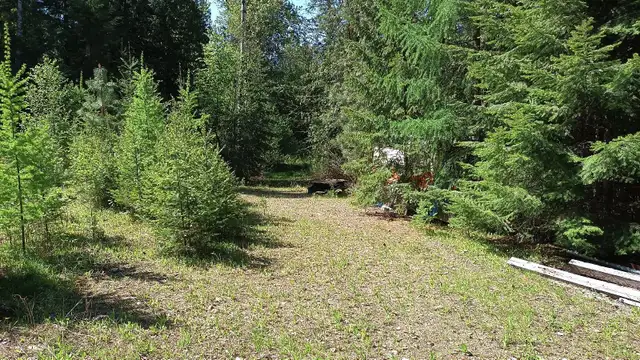 20 acres, Burton British Columbia/Nakusp in Land for Sale in Nelson - Image 7