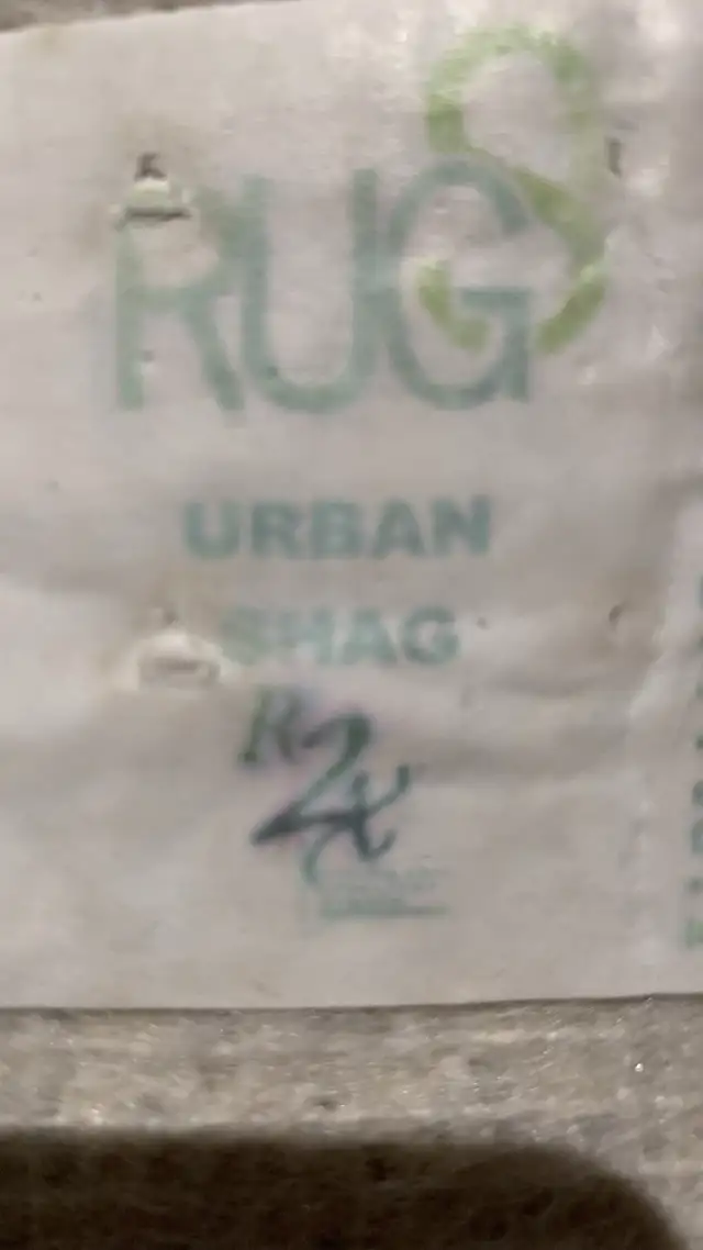 area rug in Rugs, Carpets & Runners in Ottawa - Image 3