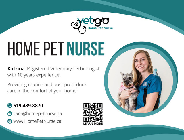 Home Pet Nurse (In-Home Pet Services) in Animal & Pet Services in Guelph