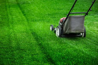 Lawn and garden maintenance 