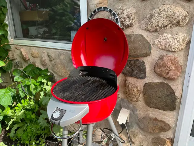 Chacoal ou BBQ électrique in BBQs & Outdoor Cooking in Longueuil / South Shore - Image 3