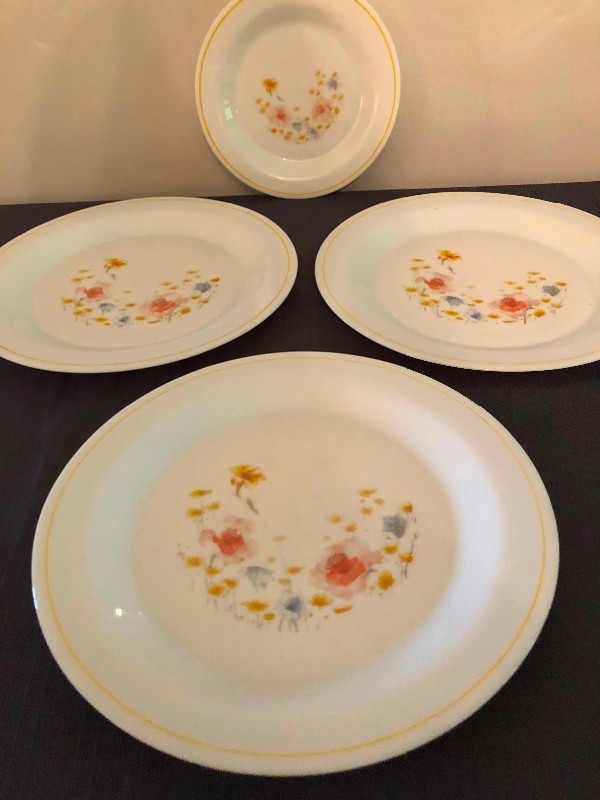 1970's Summer Dishes:  4 Vintage Arcopal Plates from France. for sale  