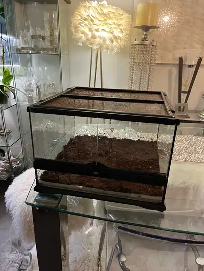 Locking Exo Terra Terrarium 18x18x12, View more