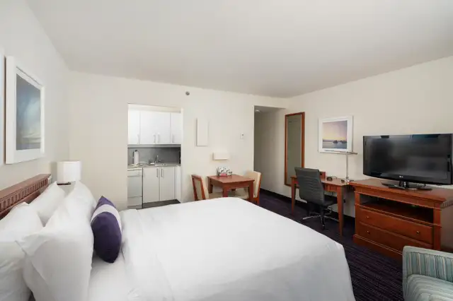 Furnished and equipped studio62864376360706124