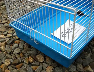 CAGE POUR PETIT ANIMAL (5$), View more