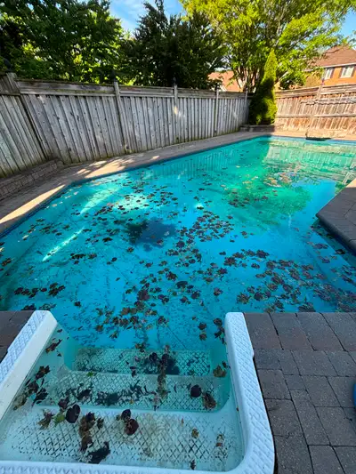 The Pool Dude - Reliable Pool Service in the GTA!, View more