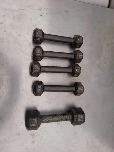 Cast iron hex dumbbells. Four 3lb weights, one 5lb weight. Use for home workouts.