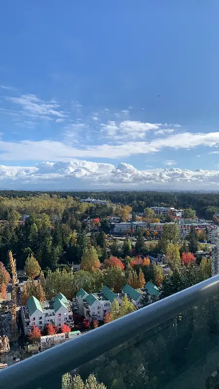 2-Bedroom High-Rise Apartment with Mt. Baker Views in Long Term Rentals in Delta/Surrey/Langley - Image 11