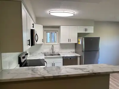Newly renovated two bedroom apartment for rent in Deep River, Ontario. Spacious open concept layout...