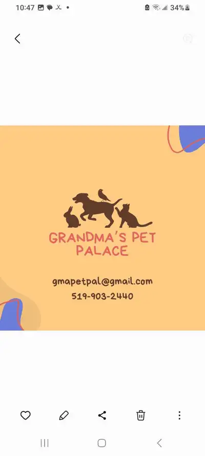 Quality pet care @ grandmas pet palace , View more