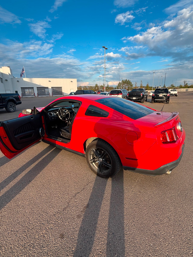 2010 Mustang GT in Cars & Trucks in Edmonton - Image 3