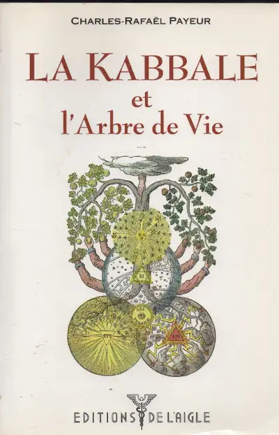 En parfaite condition de PAYEUR Charles-Rafaël non négociable 9782921222266 197