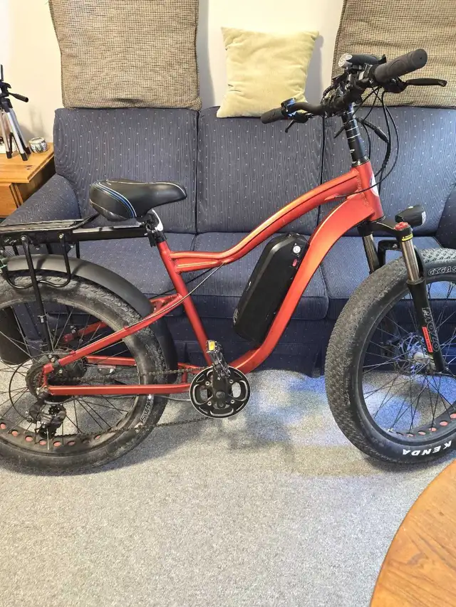 E ASSIST BIKE in eBike in Kingston - Image 2