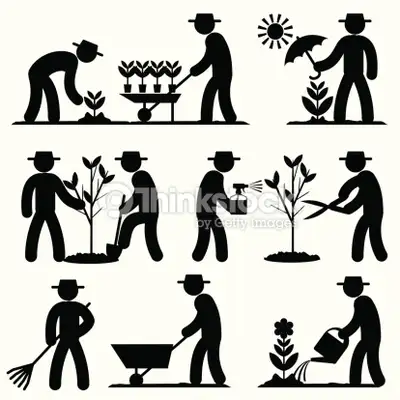 Garden Helper Required, View more